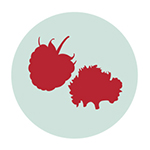 cyclospora