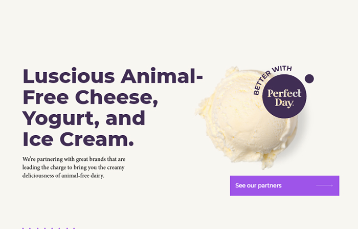 perfect day website
