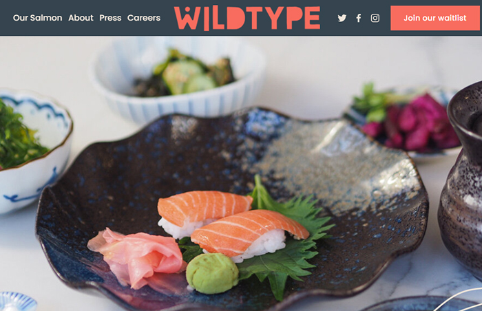 wild type website