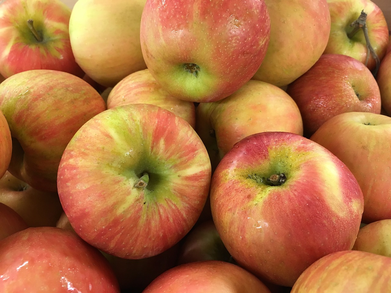Honeycrisp apples Honeycrisp apples