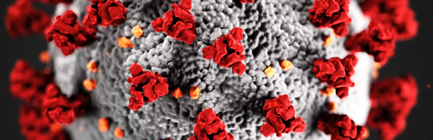 coronavirus