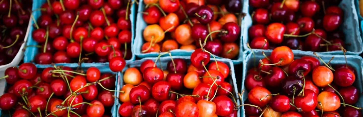 Seasonal produce - fresh cherries in packages for the farmers market in May