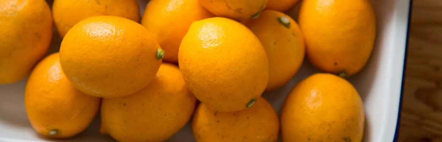 Seasonal produce - a bowl of fresh Meyer lemons, the star of citrus fruit season