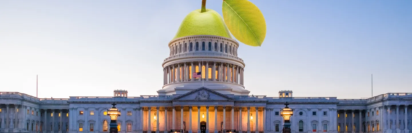 The U.S. Capitol with a pear as the dome