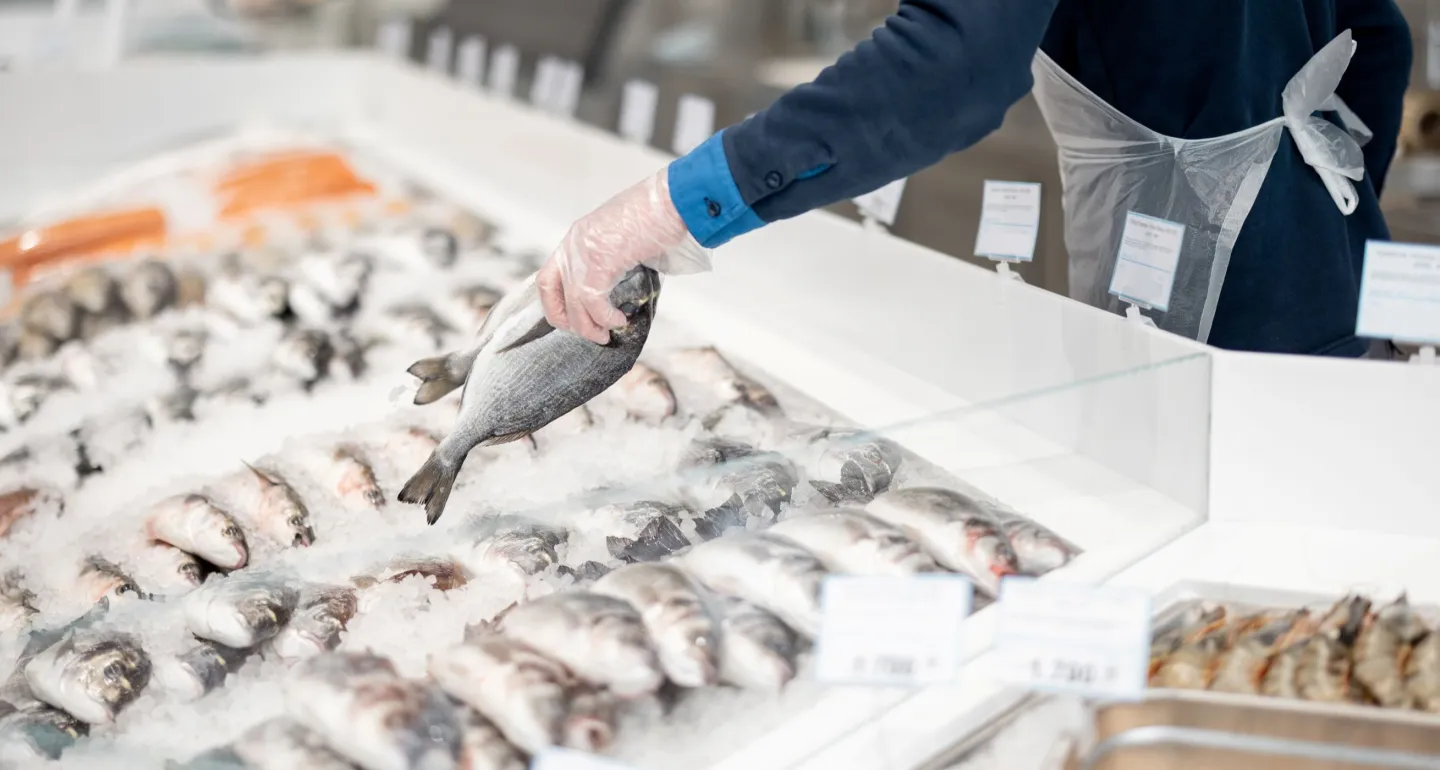 Fishmonger lays out fish on an ice counter in a supermarket. View from above on a counter with various seafood