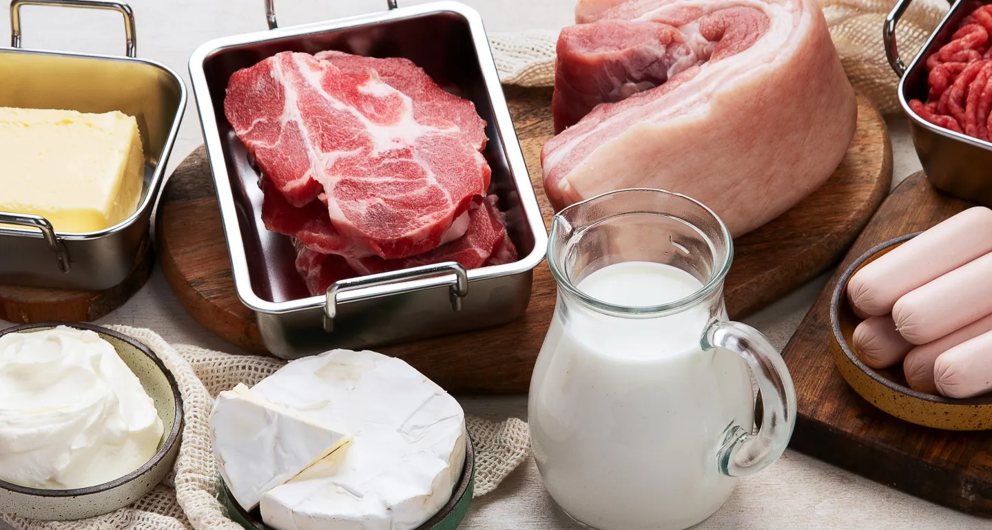 different foods with higher amounts of sat fat