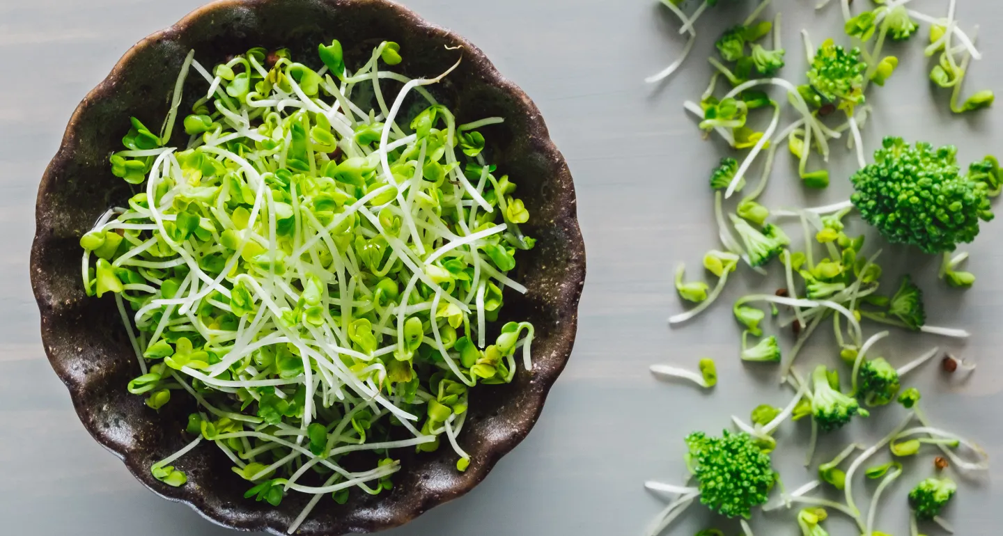 Broccoli sprouts
