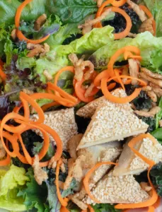 Tofu with Sesame Vinaigrette Salad
