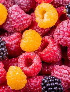 Seasonal produce - Fresh red and yellow raspberries and blackberries 