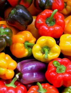 Colorful peppers for sale at an Oregon farmer's market