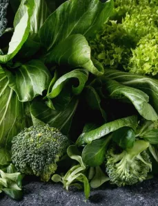 Seasonal produce - a closeup of broccoli, spinach, kale, and other leafy greens in season in December