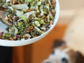 a bowl of crunchy lentil salad