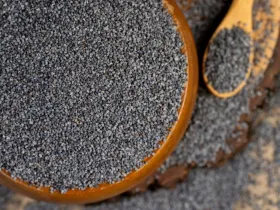 A bowl of poppy seeds used for cooking.