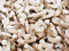 A closeup shot of frozen raw shrimp