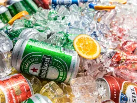 Cans of beer on ice.