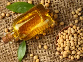 glass bottle full of seed oil on burlap background with seeds sprinkled around