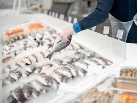 Fishmonger lays out fish on an ice counter in a supermarket. View from above on a counter with various seafood
