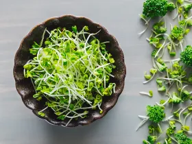 Broccoli sprouts