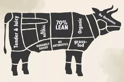 illustration of a cow with cuts of meat