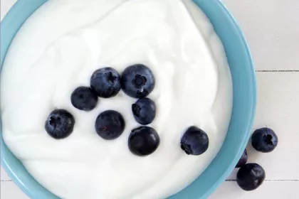 bowl of yogurt with blueberries