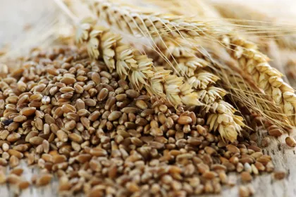 whole grains