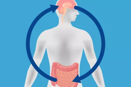 illustration of a human brain and gut