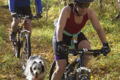 people biking with a dog