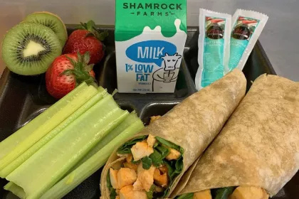 A lunch tray: a whole grain-rich wrap with chicken and vegetables, fresh fruit, celery, and plain 1% milk