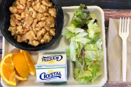 A lunch tray: teriyaki chicken and rice, orange slices, salad, milk