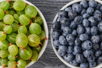 a bowl of gooseberries on the left and bowl of blueberries on the right