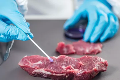 a meat inspector's hands and beef