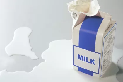 An opened paper milk carton in a pool of spilled milk