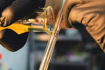 A close-up of a person wearing gloves pouring yellow liquid into a glass