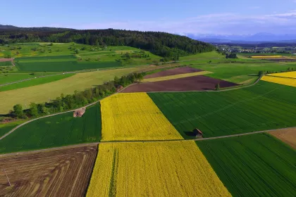 Bird's eye view of farmland