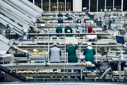 The interior of an apple processing facility
