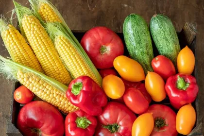 A basket of late summer produce, including corn, squash, tomatoes and peppers