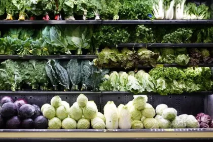 Seasonal produce - a variety of leafy green vegetables for sale at a supermarket, including cabbage (purple and green, Napa, and savoy), kale, collard greens, bok choy and more
