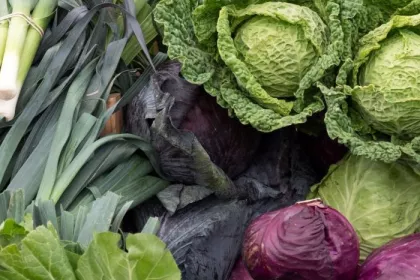 Seasonal produce - Cabbages, collard greens, kale and leeks at a farmer's market in February
