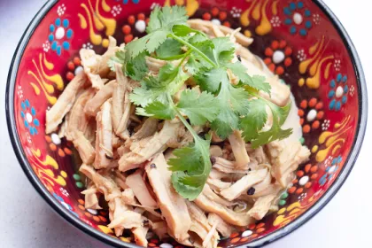 patterned red colorful bowl full of shredded chicken and adobo sauce and garnished with cilantro