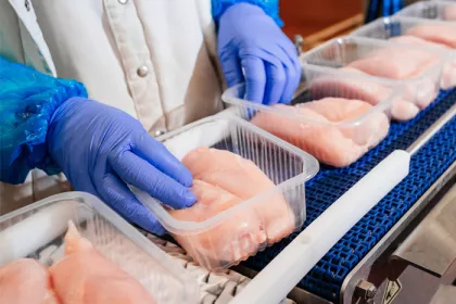 raw chicken in a processing plant