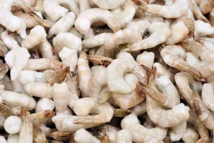 A closeup shot of frozen raw shrimp