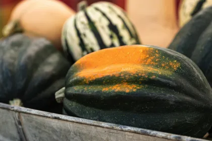 assortment of squash in metal barrel