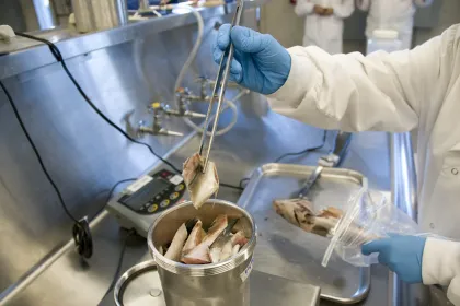 Seafood being inspected by the FDA