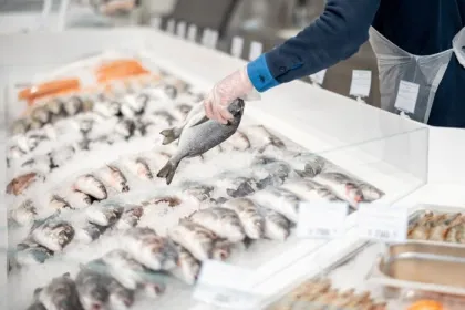 Fishmonger lays out fish on an ice counter in a supermarket. View from above on a counter with various seafood