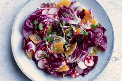 plate filled with red cabbage, radishes and pomegranate seeds