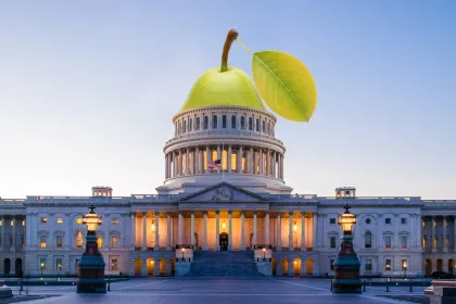 The U.S. Capitol with a pear as the dome