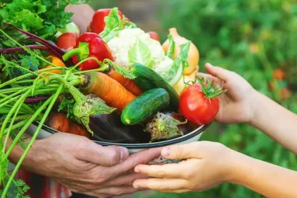 A man farmer and a child are holding a harvest of vegetables in their hands.