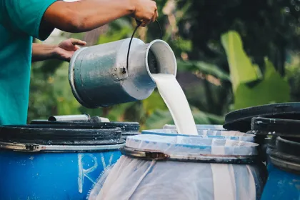 Raw milk being poured into a container