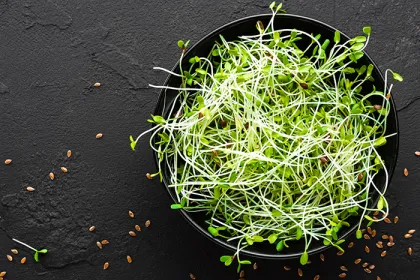 Sprouts