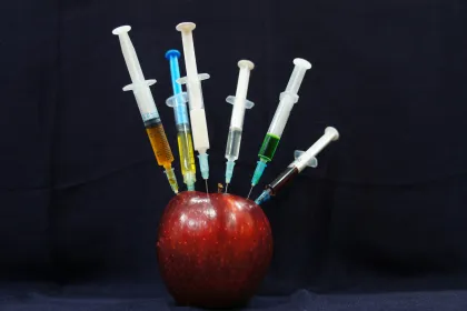 An apple with syringes sticking out of it.